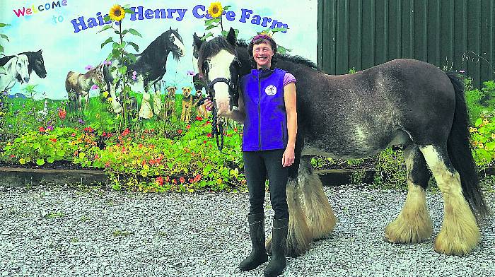 Hooray for Hairy Henry fundraiser day for therapy farm in Ballylickey Image