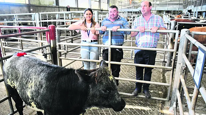 BIG WINNERS: Top prizes at Skibb Show Image