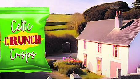 Fake advert was made in West Cork using AI tech Image