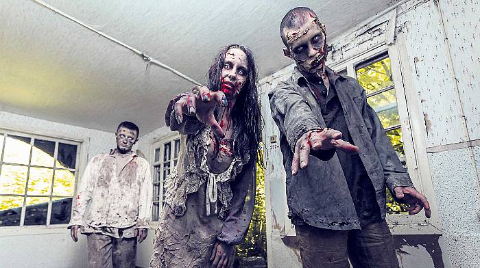 WOMAN ON THE VERGE: My DIY plan to combat zombie invasion! Image