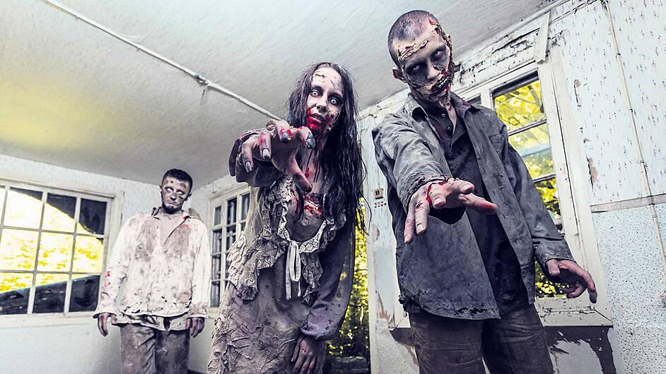 WOMAN ON THE VERGE: My DIY plan to combat zombie invasion! Image