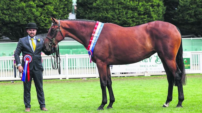 Great Gatsby win brings joy for Dunmanway’s Walsh family Image