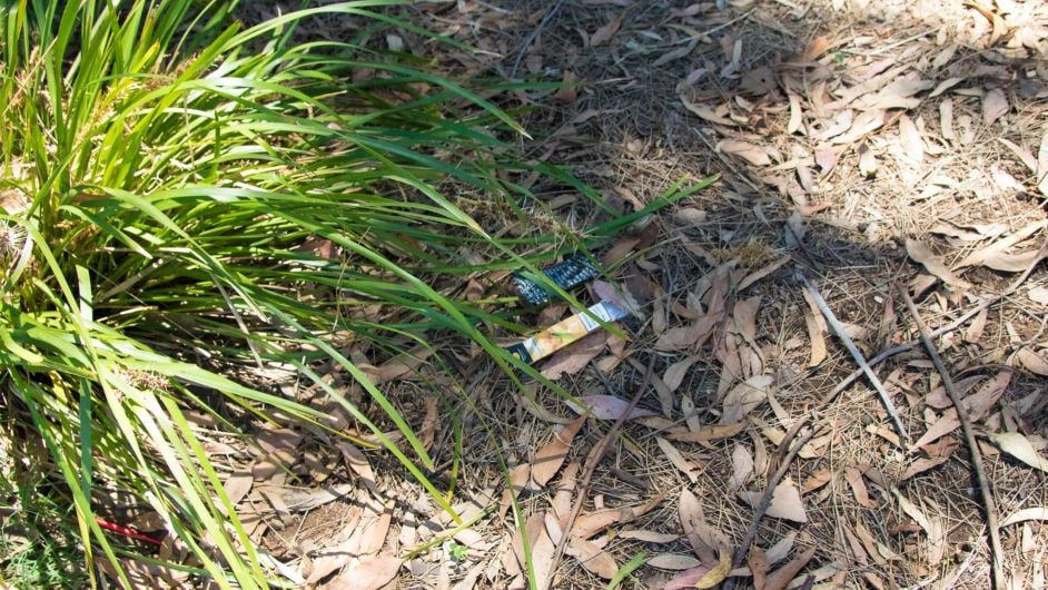 Vapes a litter issue on West Cork beaches Image