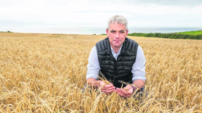 Farmers with fodder fears now have options says Sen Lombard Image