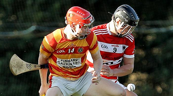 Newcestown’s county quarter-final against Killeagh to be streamed on Rebels Online Image