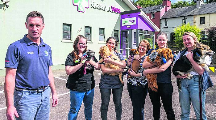 Vets and animal lovers gather to celebrate the joy of puppies Image