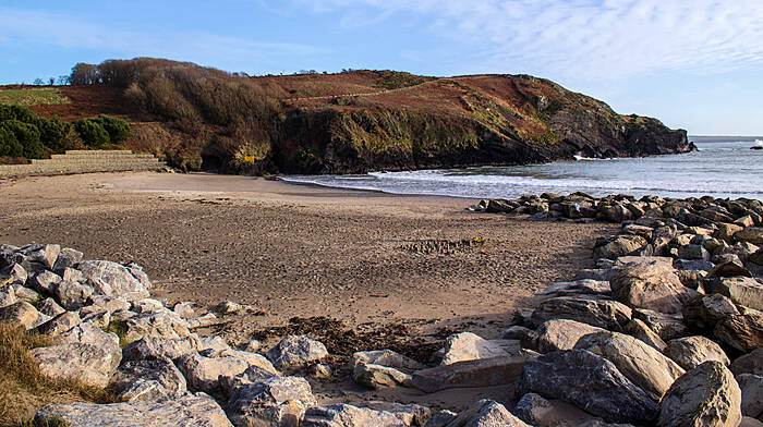 Warren Beach reopens in Rosscarbery Image