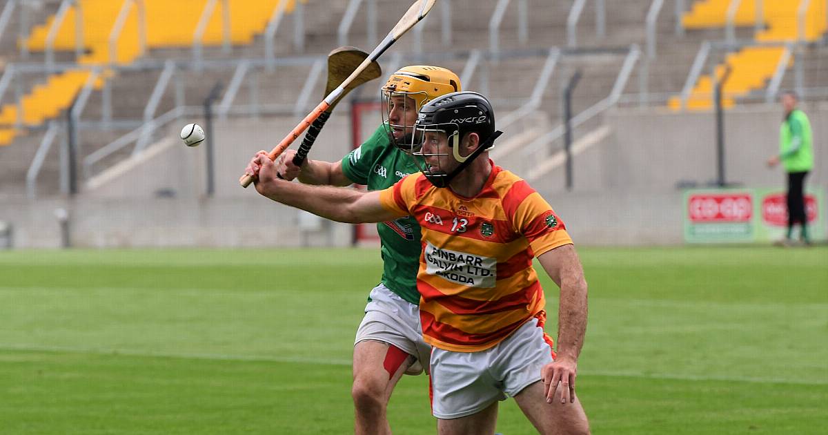 Newcestown Power Into County Hurling Semi-final | Southern Star