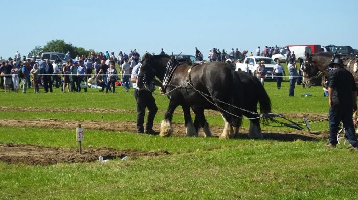 Buses are available from West Cork to Ploughing Image