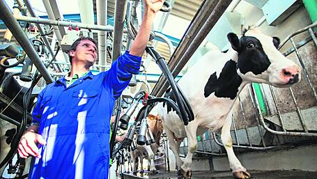 ICMSA: Milk price reductions are costing Cork farmers half a billion Image