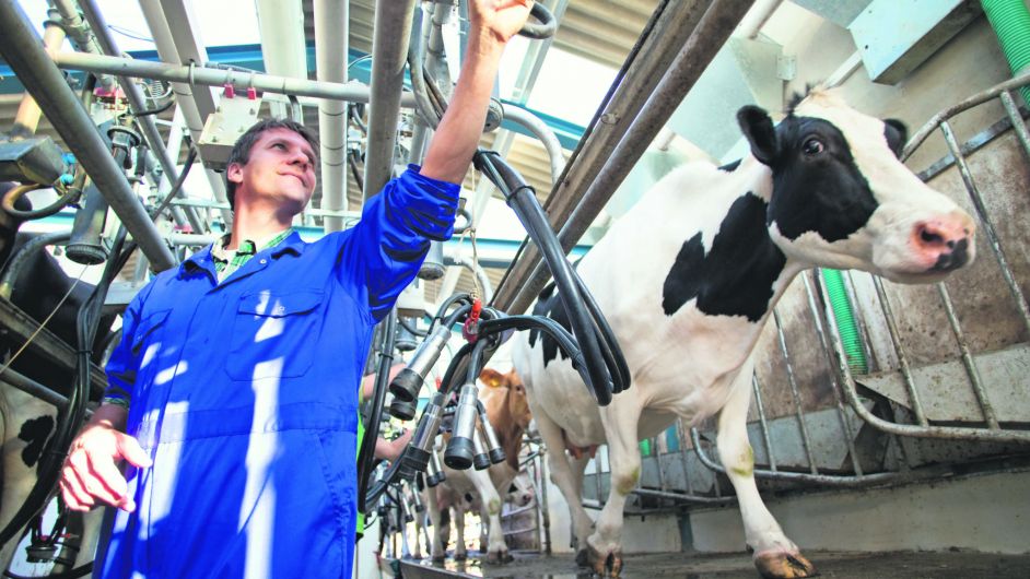 ICMSA: Milk price reductions are costing Cork farmers half a billion Image