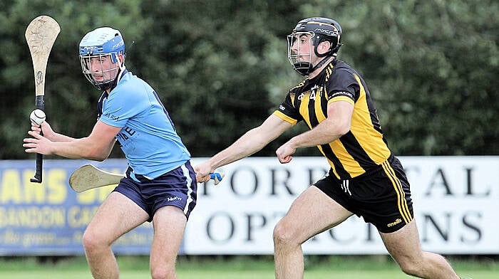 Check out the 2024 county hurling championship draws Image