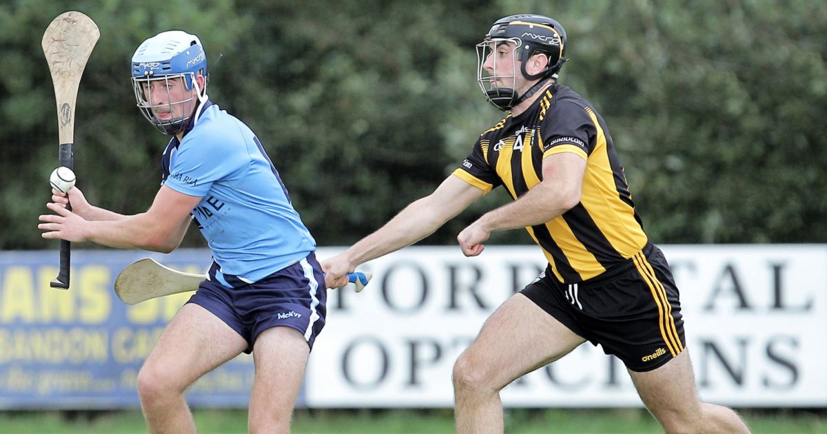 Check Out The 2024 County Hurling Championship Draws Southern Star   Check Out The 2024 County Hurling Championship Draws 