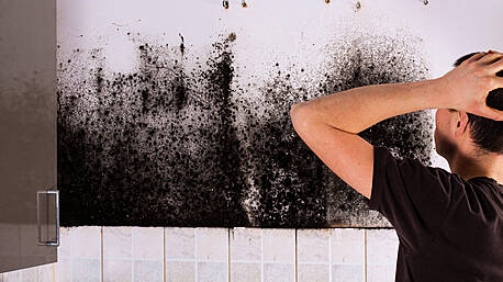 How to deal with damp in your home Image