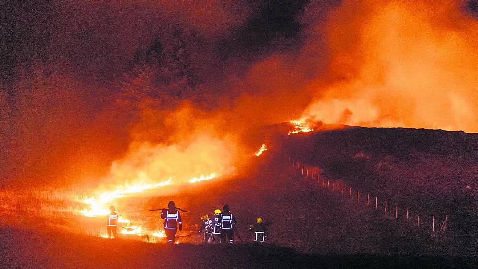 Wildlife service is to continue with prosecutions for starting gorse fires Image