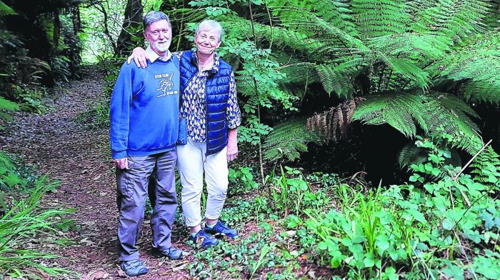 After 30 years, marine researchers close the notebook on Lough Hyne Image