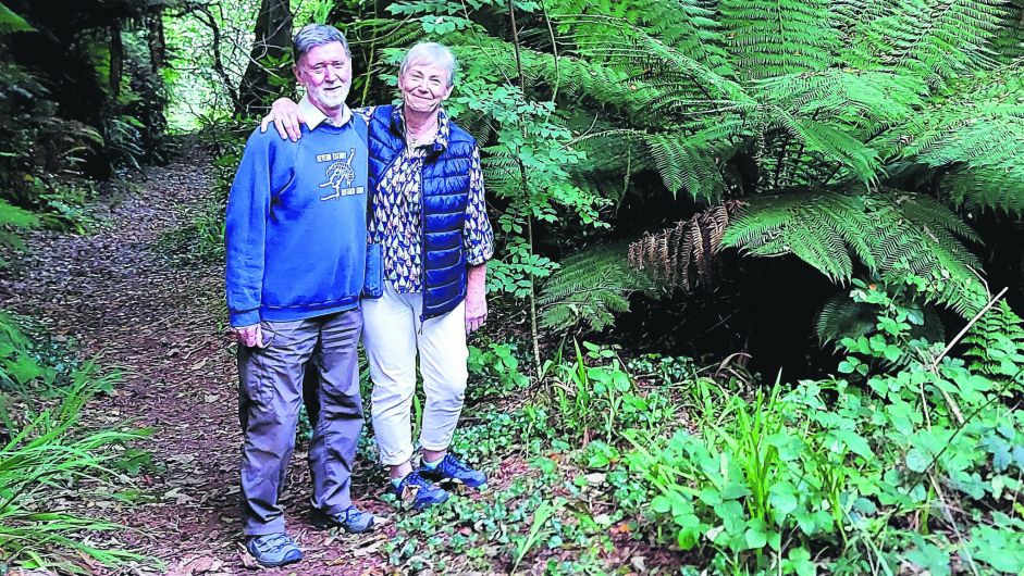 After 30 years, marine researchers close the notebook on Lough Hyne Image