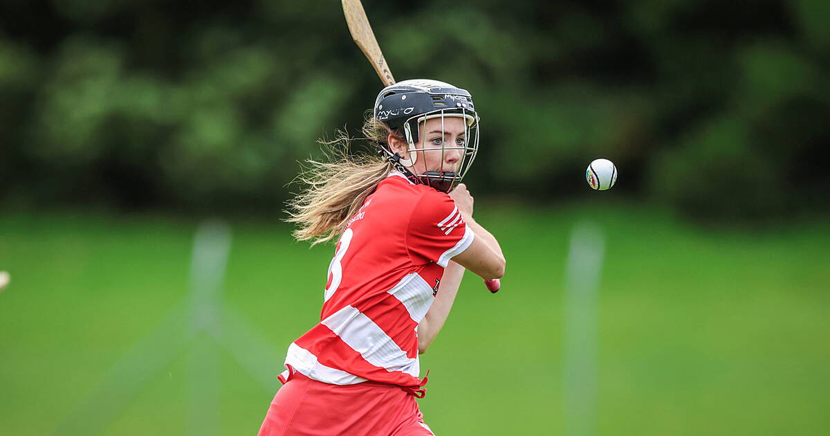 Hannon is hopeful Courcey Rovers can stun champs Seandún in senior camogie championship quarter-final - Vimarsana News