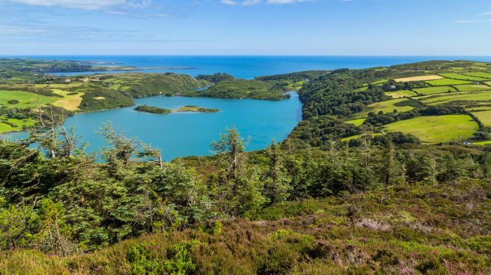 Nitrates ‘are killing life’ in Lough Hyne Image