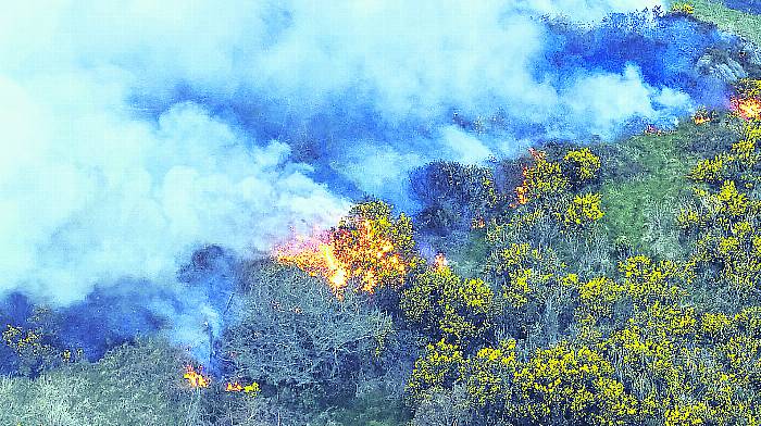 Farmers admit to starting gorse fires in landmark prosecutions Image