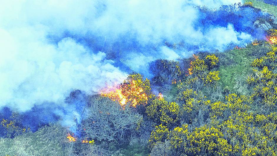 Farmers admit to starting gorse fires in landmark prosecutions Image