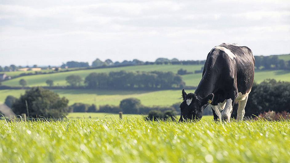 New soil sensors being developed in Cork designed to reduce fertiliser use Image