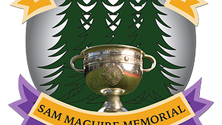 Check out this weekend's Carbery GAA fixtures Image