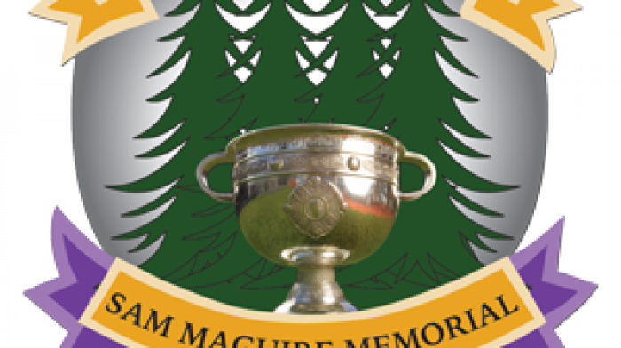 Carbery GAA to celebrate its centenary year in 2025  Image