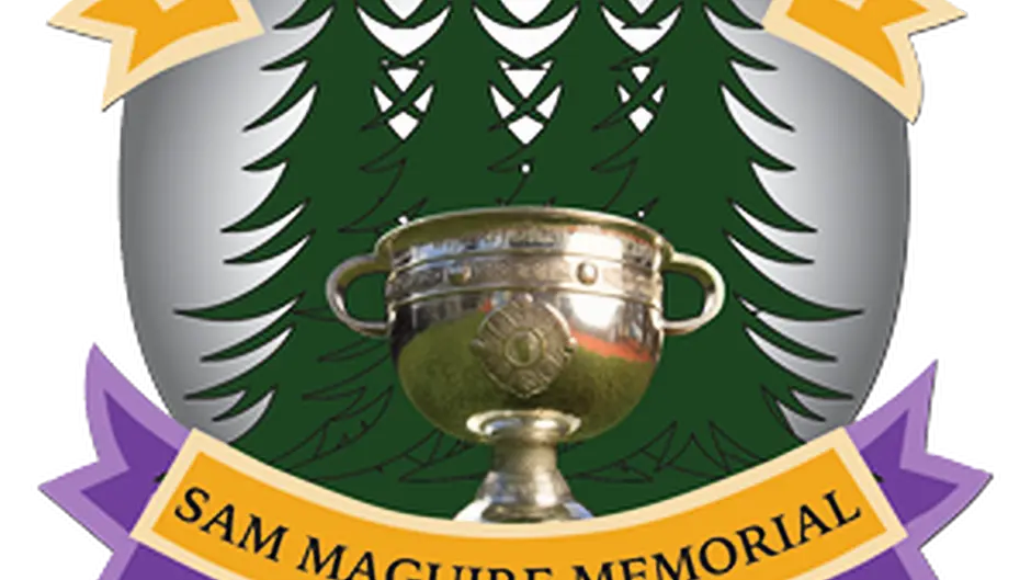 Check out this weekend's Carbery GAA fixtures Image