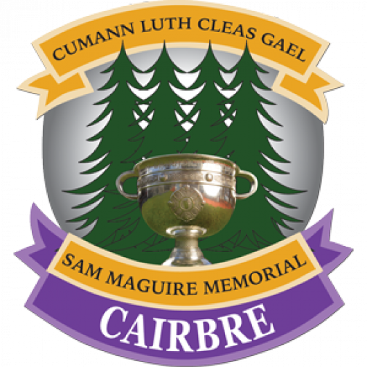 Carbery GAA to celebrate its centenary year in 2025  Image