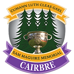 Carbery GAA to celebrate its centenary year in 2025  Image