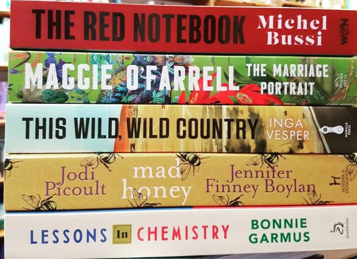 January's best reads from Kerr's bookshop Clonakilty Image