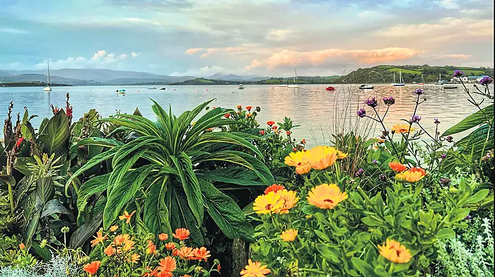 Bantry Bay photo steals readers’ hearts Image