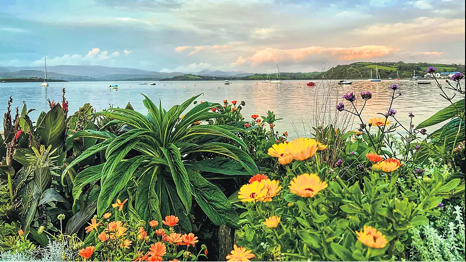 Bantry Bay photo steals readers’ hearts Image