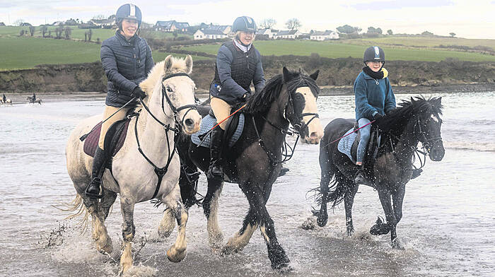 PICTURE GALLERY: Out and about in West Cork Image