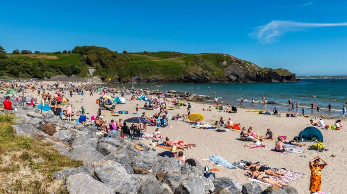 Wipes and ‘fogs’ in Ross loos tied to closure of Warren strand Image