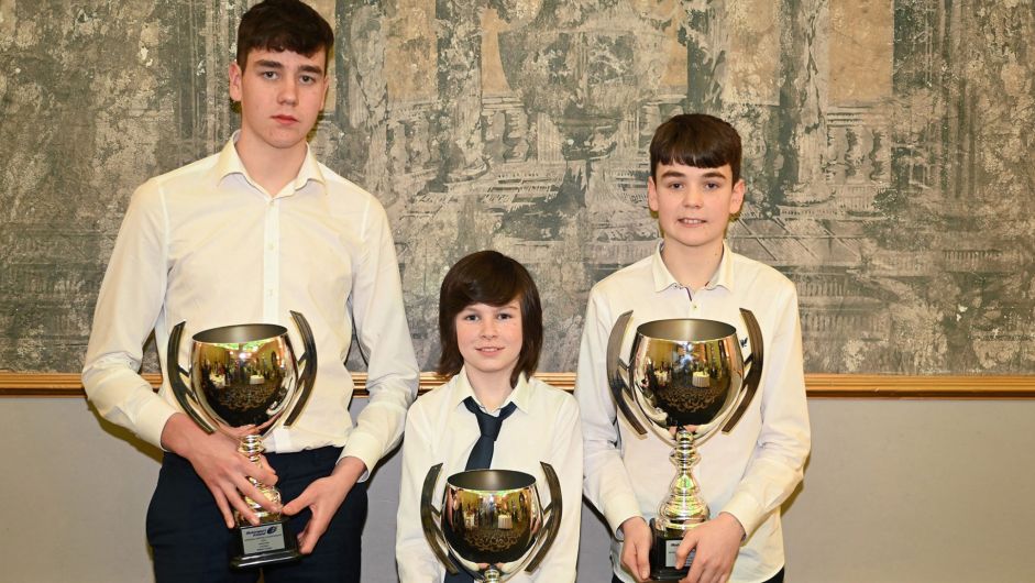 Cronin brothers and Grant receive Irish karting awards Image