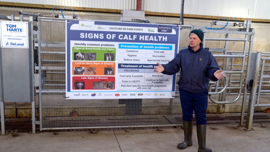 Cullinanes’ farm in Ballineen hosts busy calf rearing event Image