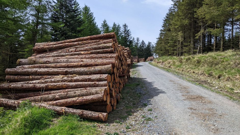 Meeting to discuss concerns over Coillte's forestry plan Image