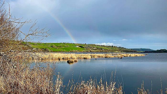 WILDLIFE: The Gearagh is worth a visit Image