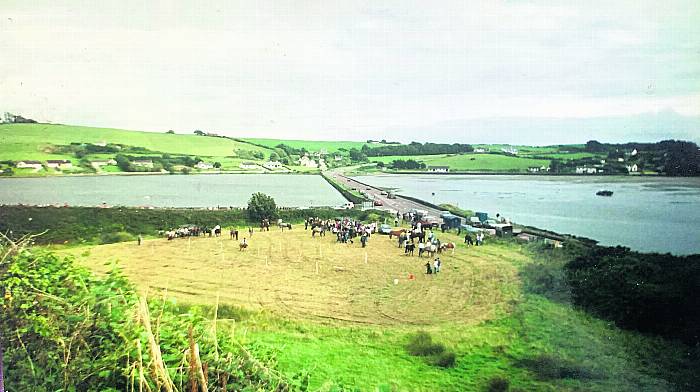 BACK IN THE DAY: The Southern Star’s celebration of West Cork nostalgia in all its forms Image