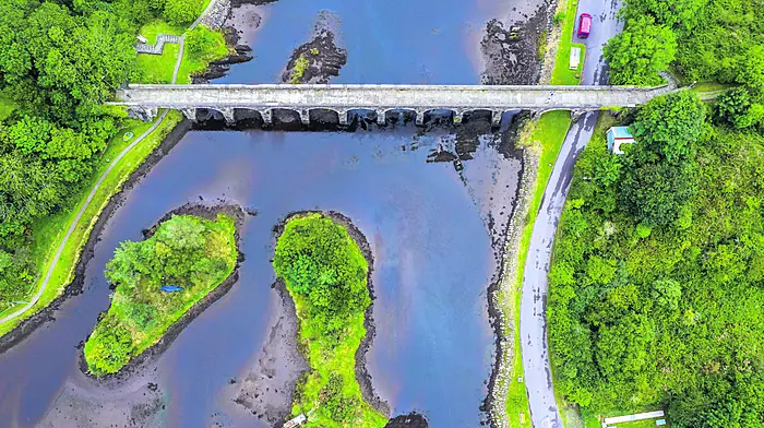 West Cork’s changing landscape Image