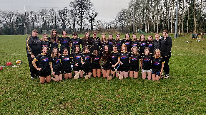 Brilliant St Brogans crowned Munster camogie champions Image