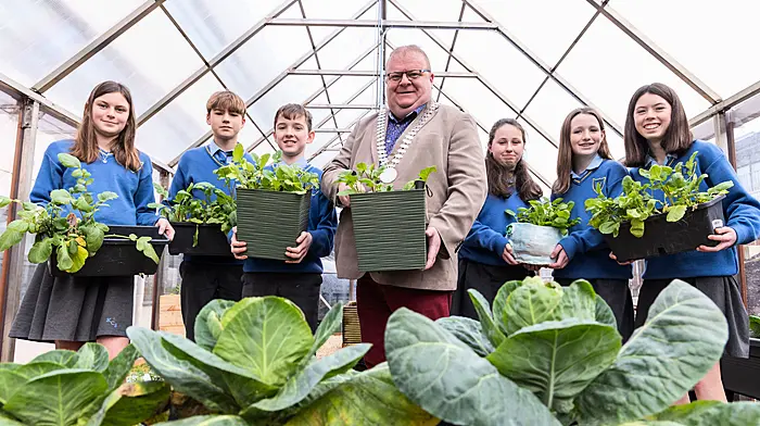 West Cork schools to learn climate literacy Image