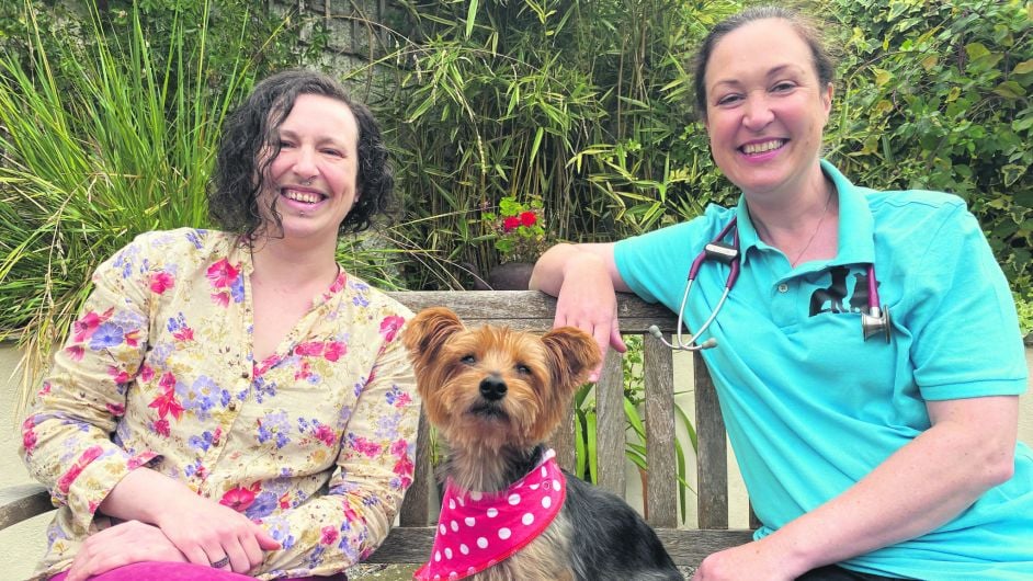 Local vet stars in new RTÉ series on dogs Image