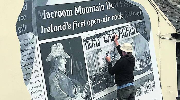 Walking tours of Macroom’s colourful murals in pipeline Image