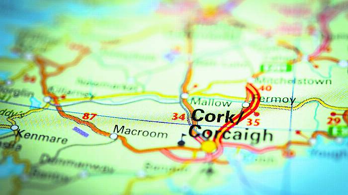 Recruitment agency forecasting 20% jobs growth in Cork county Image