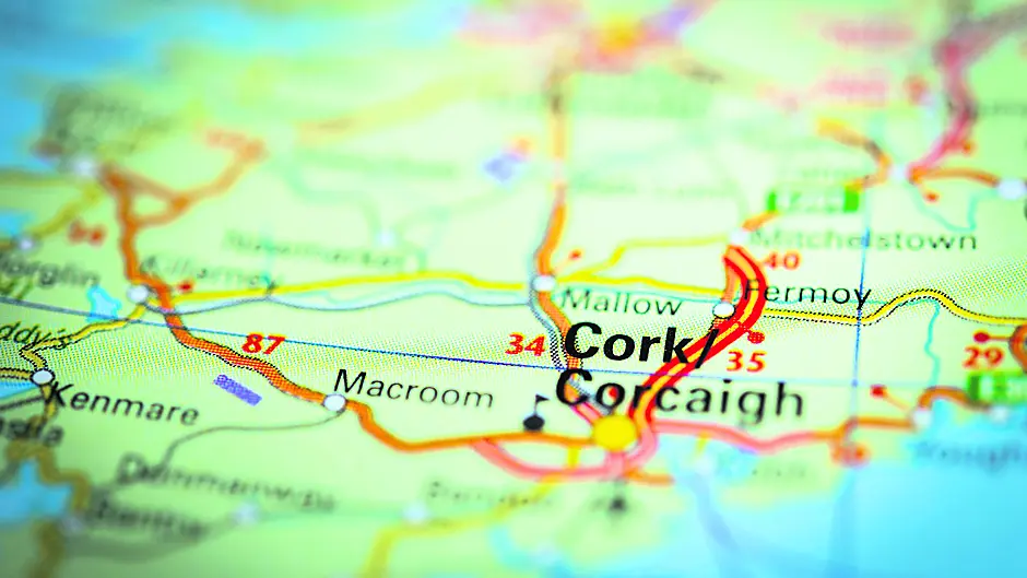 Recruitment agency forecasting 20% jobs growth in Cork county Image