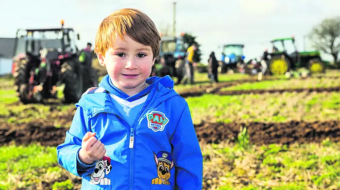 The West Cork Ploughing Association Novice Ploughing Match took place today in Rathroon, near Bandon. Six competitors took part in the match. Watching the tractors was 4 year old Jack O'Keeffe from Ballinhassig. (Photo: Andy Gibson)