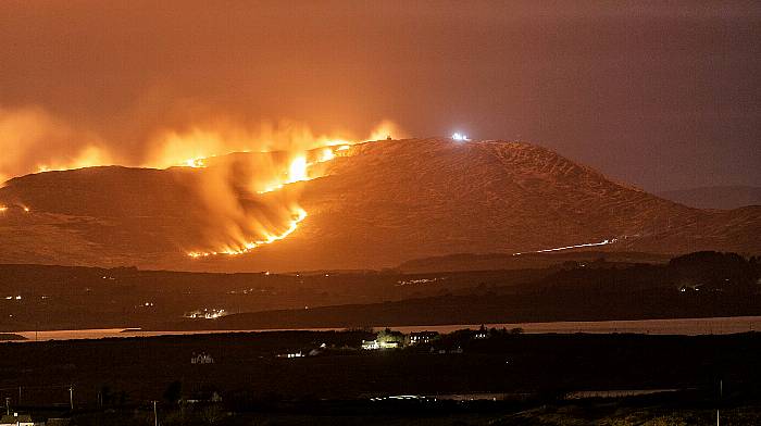 Major gorse fire on Mount Gabriel Image